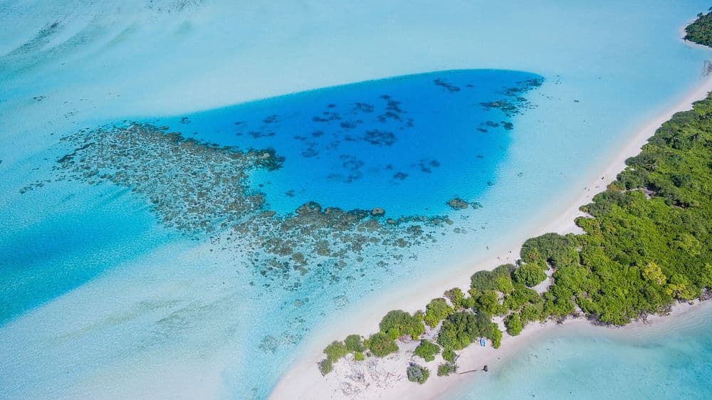 Diving in Ari Atoll